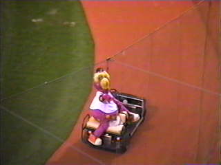 Slider - Cleveland's Mascot